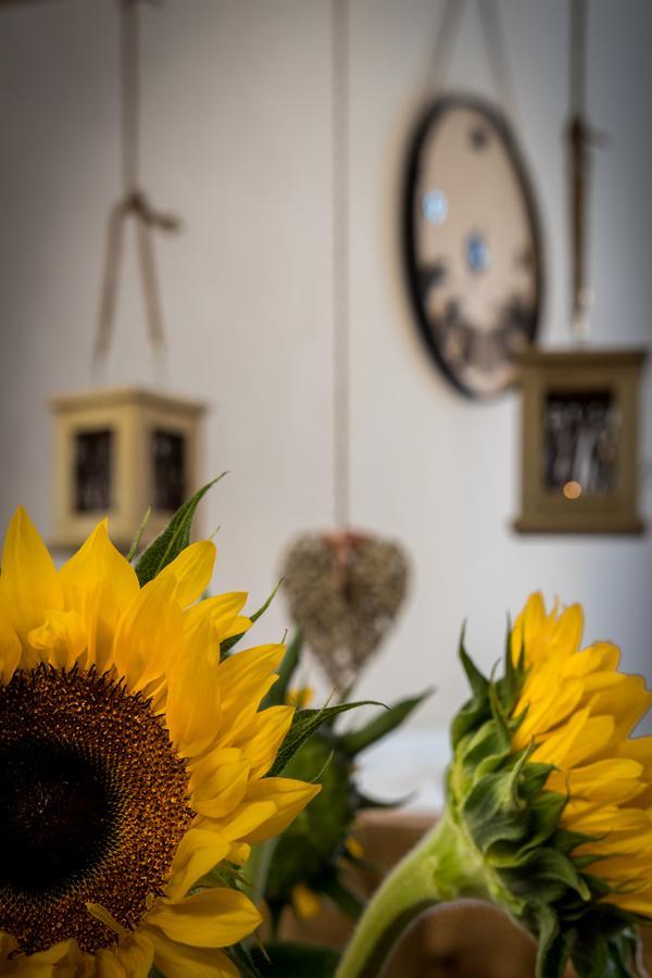 Cracow Best Location Apartment By Cozyplace Krakow Dış mekan fotoğraf